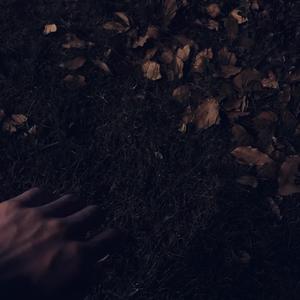 最骚操逼小说视频
